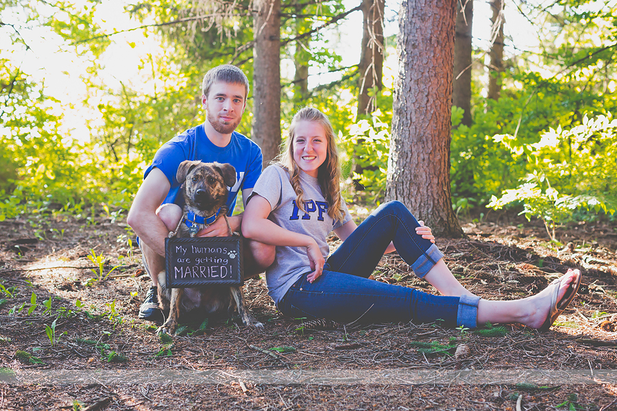 Indianapolis Family Photographer | families with pets | casey and her camera