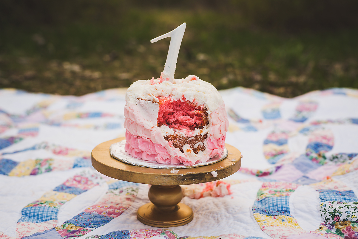 Outdoor Cake Smash | Indianapolis Photographer | Spring Family Session | casey and her camera